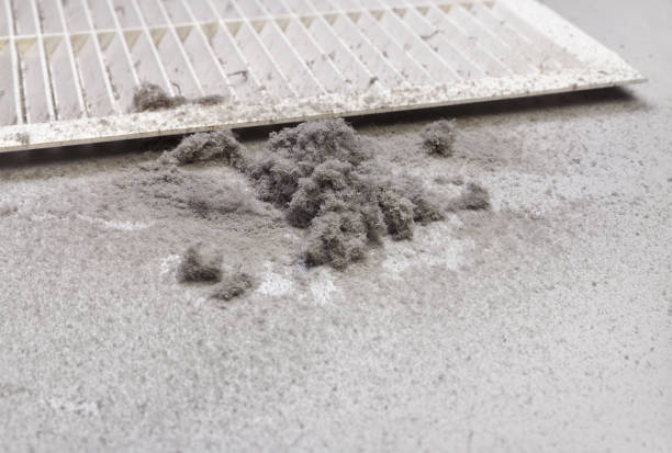 Best Air Duct Cleaning Company Near Me  in Mount Zion, GA